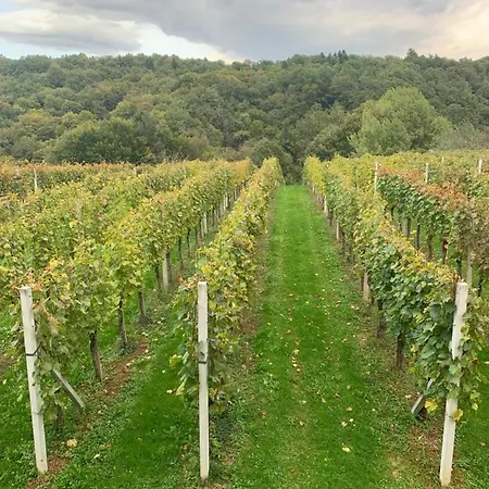 Vineyard Holliday House Sentjernej