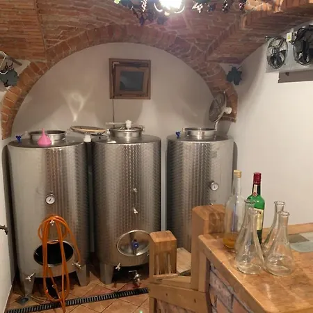 Vineyard Holliday House *